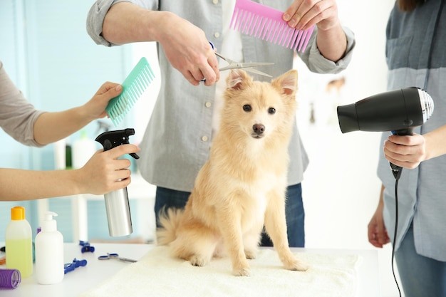 Pet Grooming